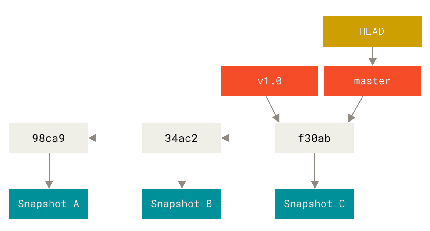 A branch and its commit history